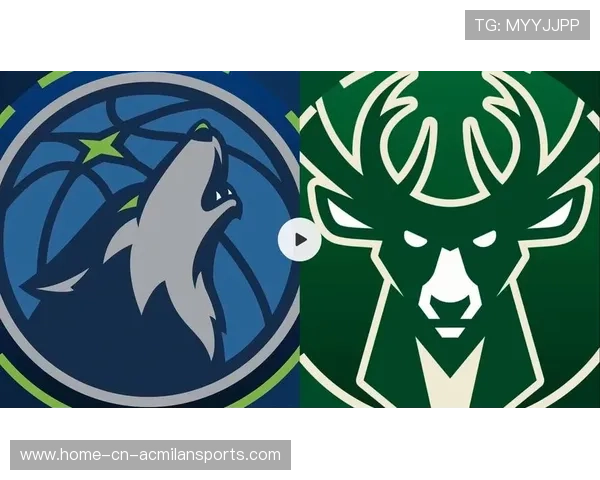 海兰德助攻精准，森林狼是否应加大使用力度？