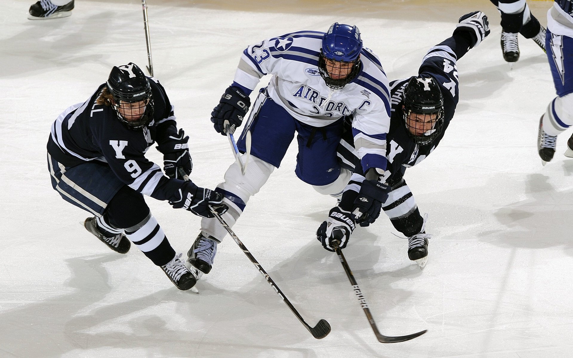 “彼得森助力南非羚羊队突破困境,书写历史篇章”
