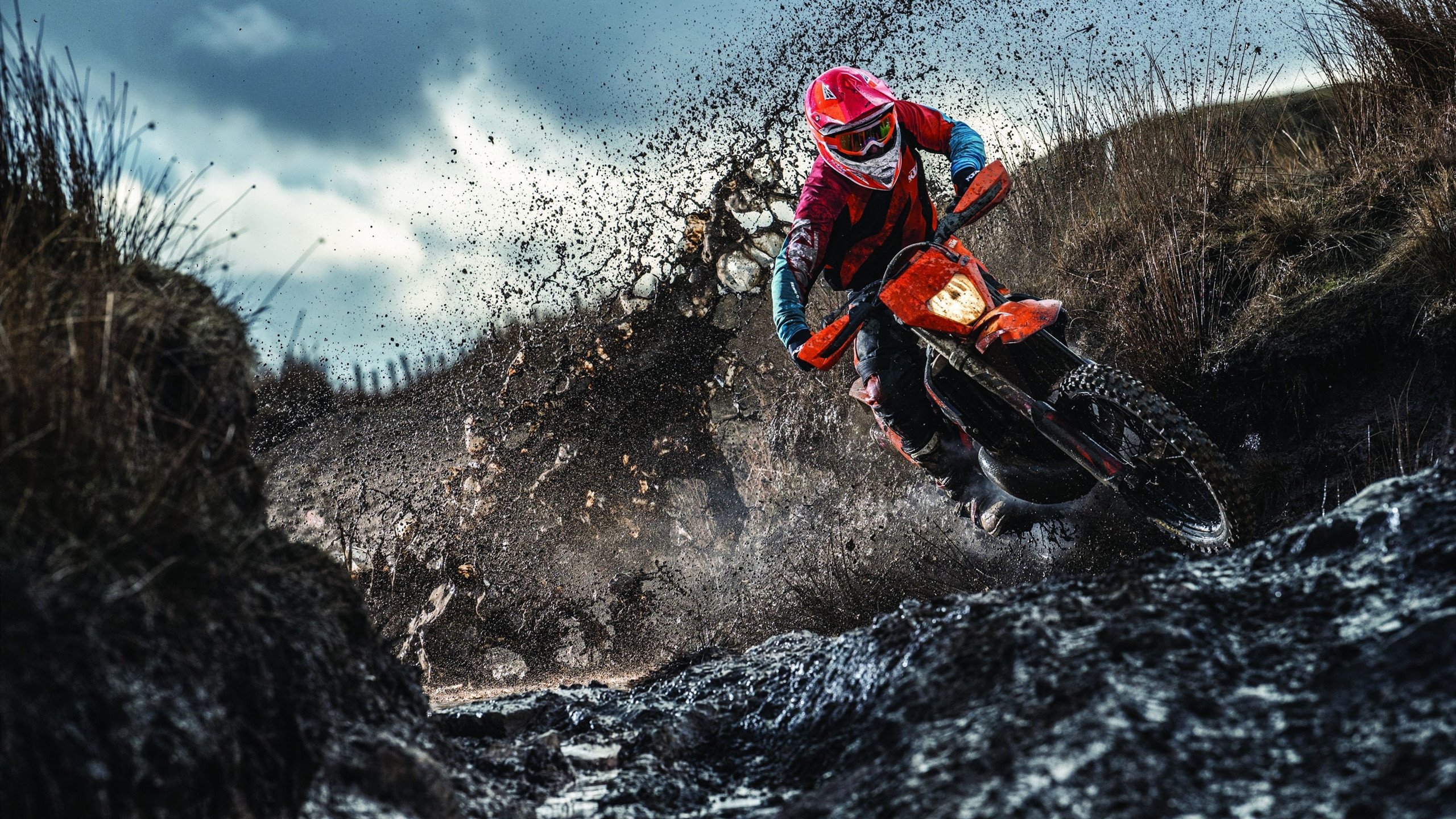 世界杯战场：英雄有时来自意想不到的角落，世界杯英雄情况