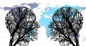 体育新闻中心协同多方建立体育内容风控机制，体育新闻机构